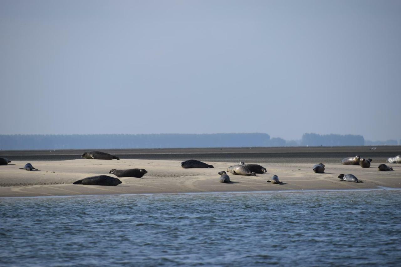 Camping Scheldeoord Baarland Екстер'єр фото